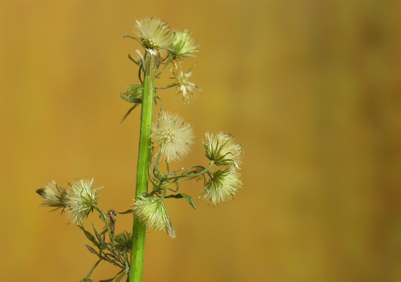 ...alles ist verg�nglich - gesehen Dez.09