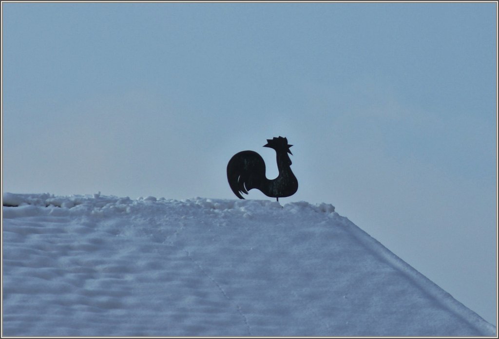 Als der Wetterhahn sich drehte,kam die K�lte.
(01.02.2012)
