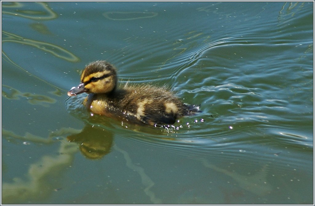 Auf Entdeckungstour...
(01.07.2013)