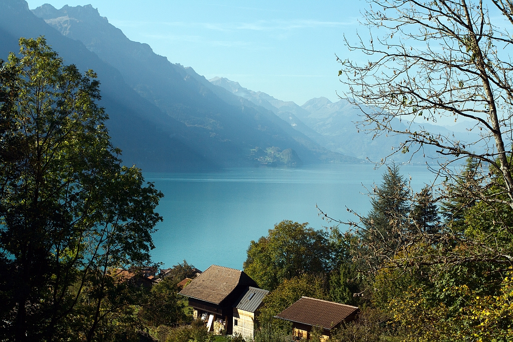 Bilck auf dem Brienzersee am 01.10.2011 auf Bergfahrt mit der Heiz�l BRB 16 zum Brienzer Rothorn, oberhalb von Brienz. 