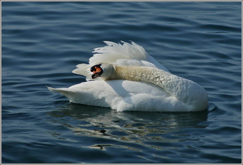 Dehn�bungen...
(04.03.2012)