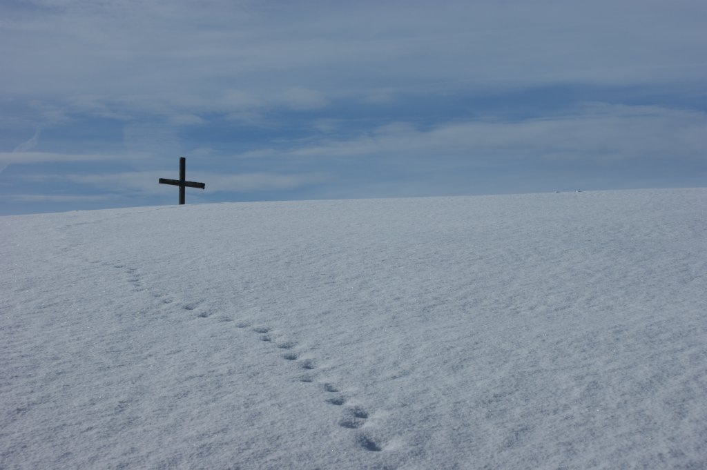 Den Spuren nach zum Ziel
(20.01.2010)