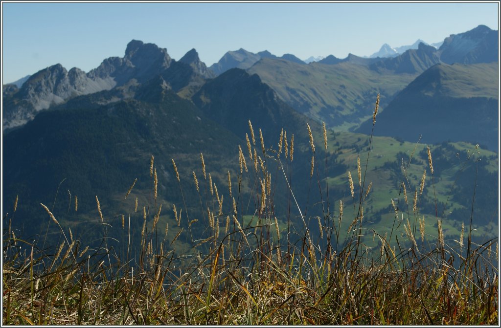 Der  goldene Oktober  auf dem Rinderberg mit Blick �ber die Berner Alpen.
23.09.2011 