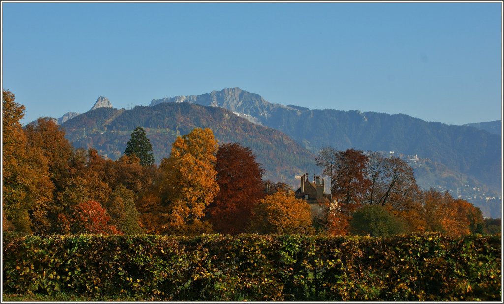 Der Rochers-de-Naye umgeben von der momentanen Herbststimmung.
(01.11.2011)
