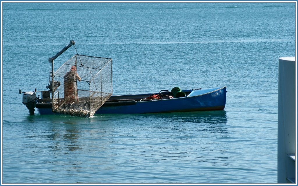  Die Fischerin vom Bodensee  kennt jeder - hier aber ist ein Fischer am Genfersee zu sehen. 
Rivaz, 7. Juli 2010    