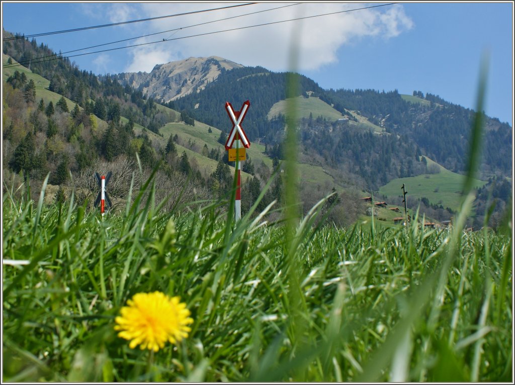 Ein Bahn�bergang aus der Sicht einer Maus...
(16.04.2011)