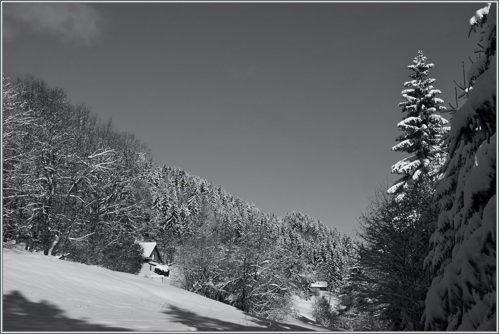 Ein Wintertraum in S/W. 
Les Pleiades, den 19. Dez. 2012
