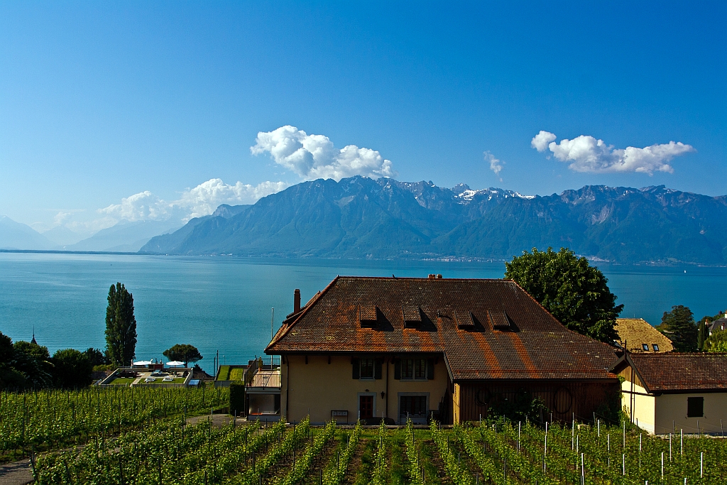 Eine Impression am  Grand Lac  - Am 28.05.2012 unterweg mit dem  Train des Vignes  (S31) von Vevey nach  Chexbres.