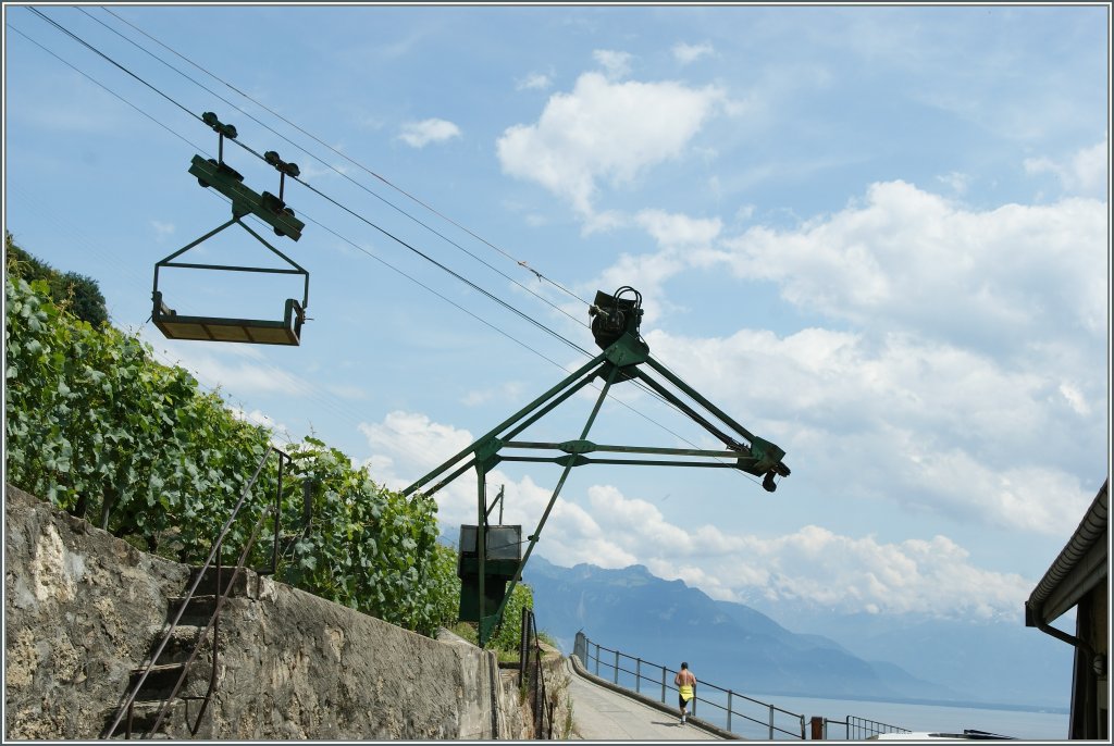 Eine Seilbahn im Dienste eines guten Tropfens...
Im Lavaux, im Juni 2011