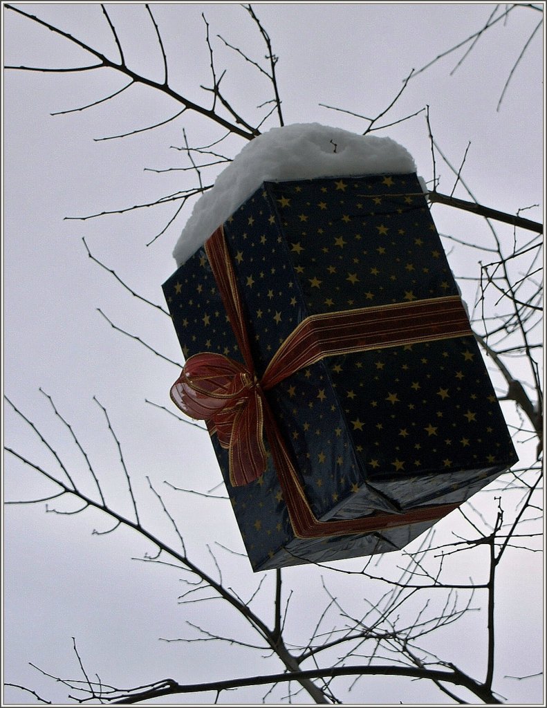 Falls es dieses Jahr nicht genug Platz unter dem Tannenbaum hat, kann man die Idee vom letzten Jahr in Blonay �bernehmen:Hier h�ngte man die Geschenke an die B�ume.
(17.12.2010)