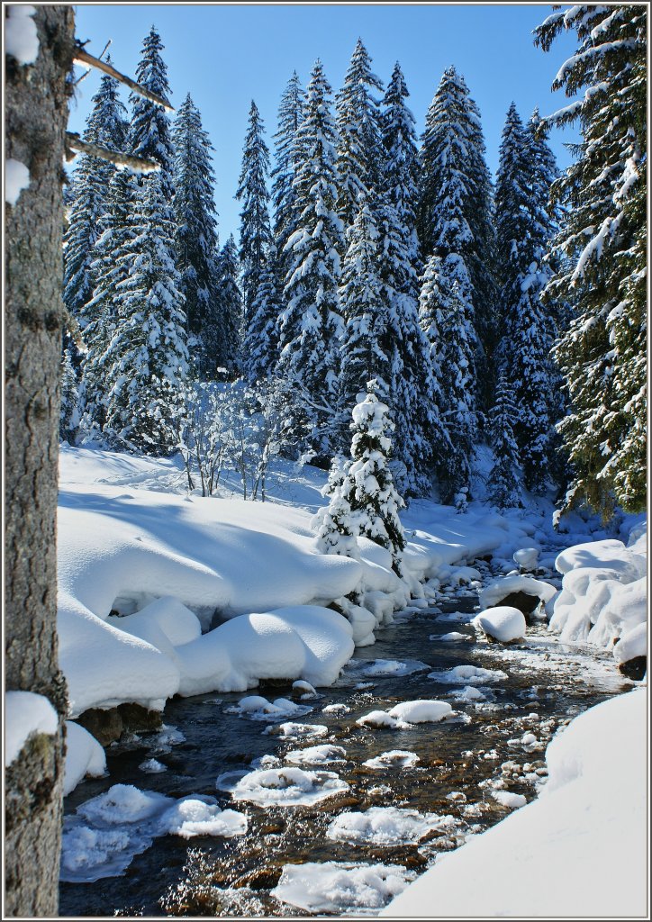 Mit diesem Foto w�nschen wir allen besinnliche Weihnachten und ein gutes neues Jahr 2012.
(15.02.2010)
