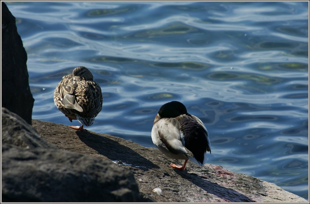 Mittagspause!
(28.02.2012)