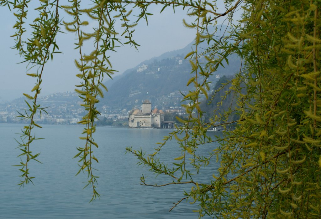 Nicht durch die Blume sondern durch den Baum gleitet der Blick zum Ch�teau de Chillon. 
16. April 2010