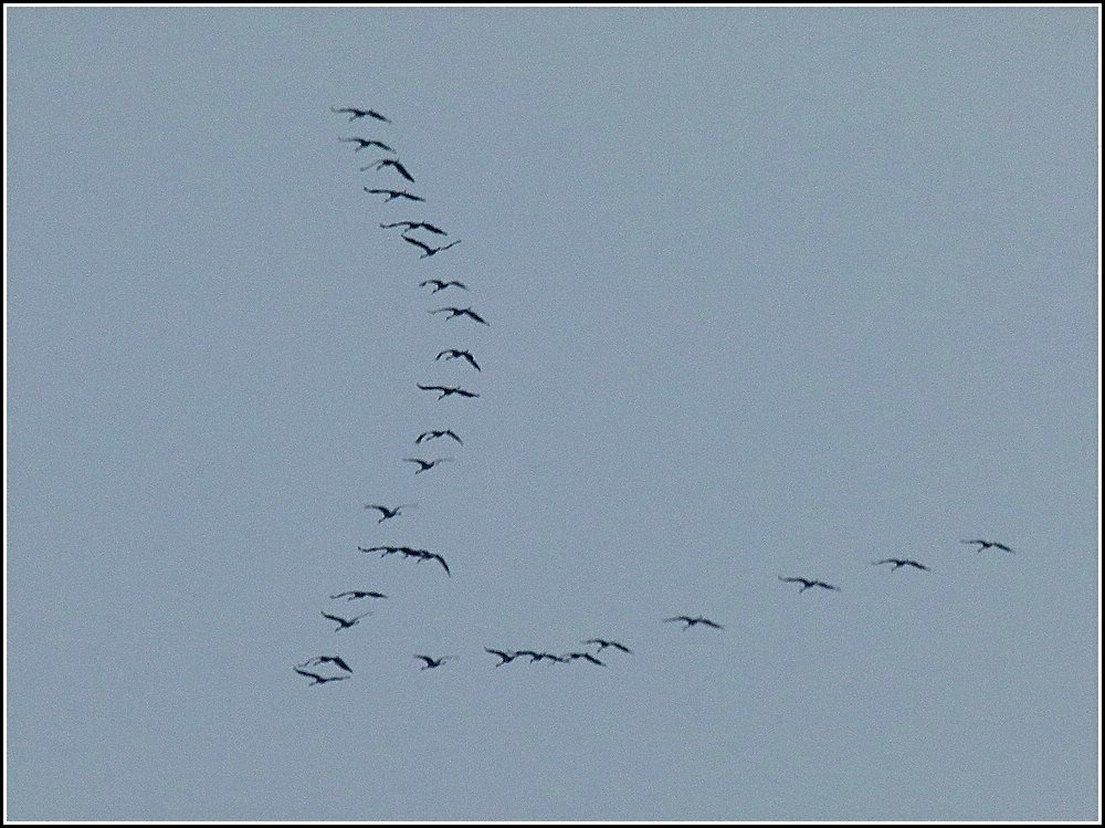 Obwohl es heute wieder bitter kalt in Luxemburg war, lie� gegen 14.40 Uhr der Blick in den Himmel Hoffnung aufkommen. 19.02.2010 (Jeanny)