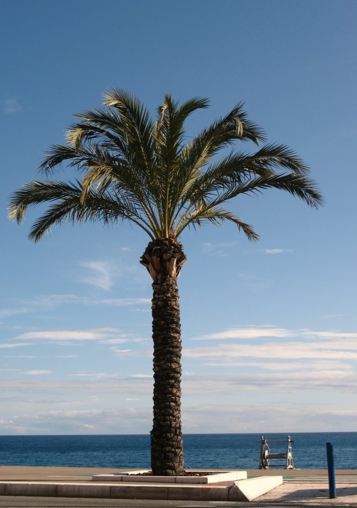 Paradiesischer Ausblick
(20.04.2009)