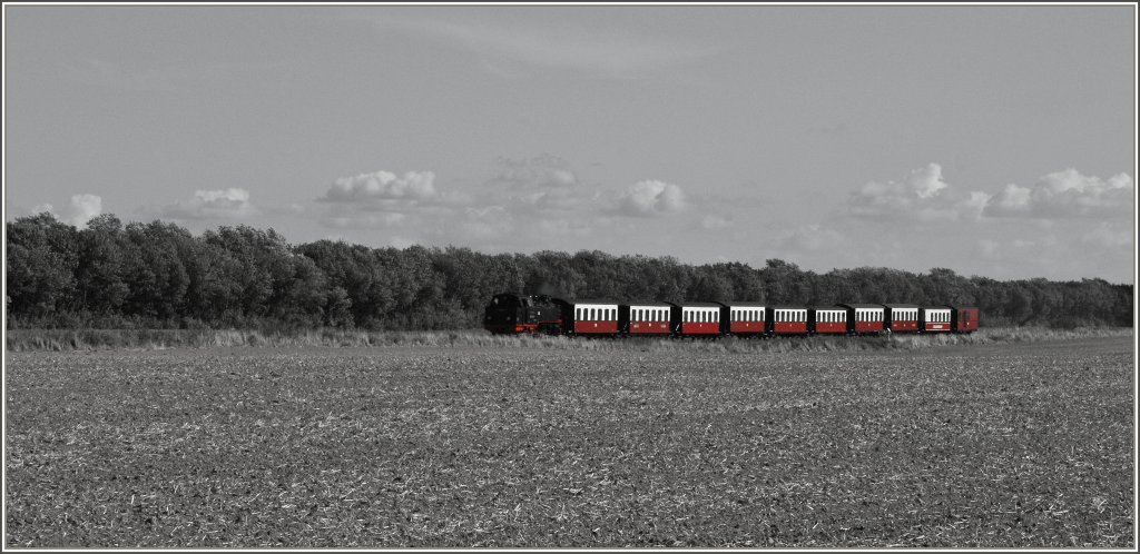 Schwarzweiss und Rot steht der Molli sehr gut.
(20.09.2012)