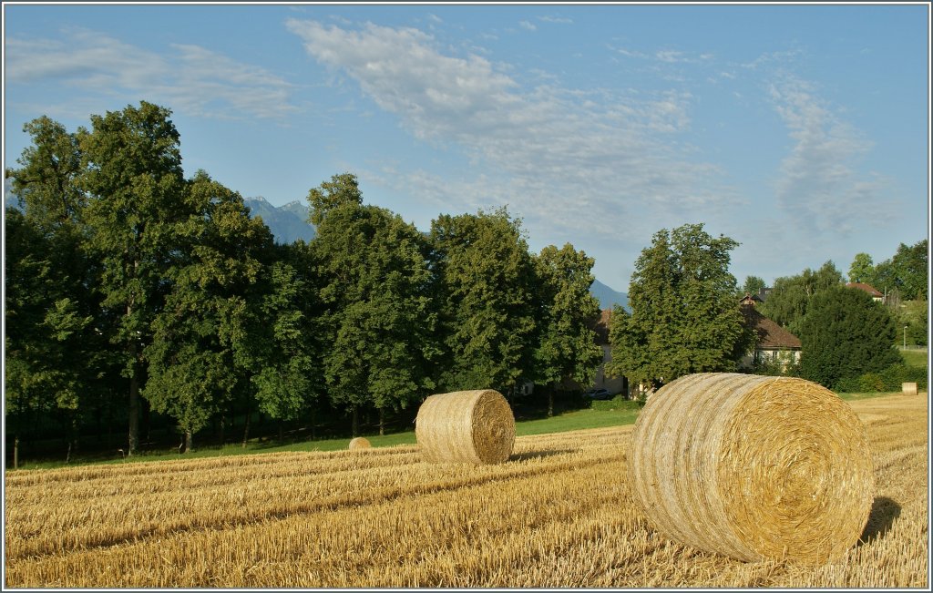 Sommer (bei St-Legier, 19. Juli 2012)