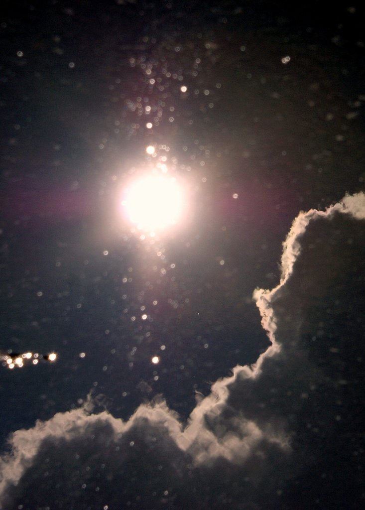 Sonnenstrahlen in einer Wasserpf�tze
(13.09.2010)