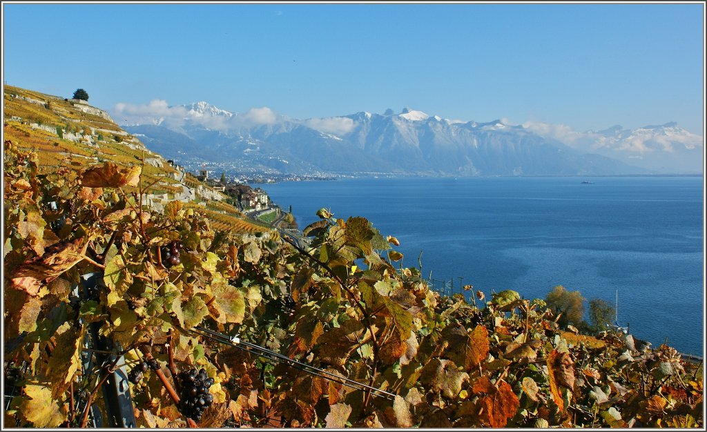 W�hrend im Lavaux der Herbst eingezogen ist,zeigt der Winter in den Bergen das er nicht mehr in allzu grosser Ferne ist.
(29.10.2012) 