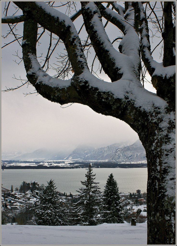 Winterstimmung am Genfersee.
(17.12.2010)
