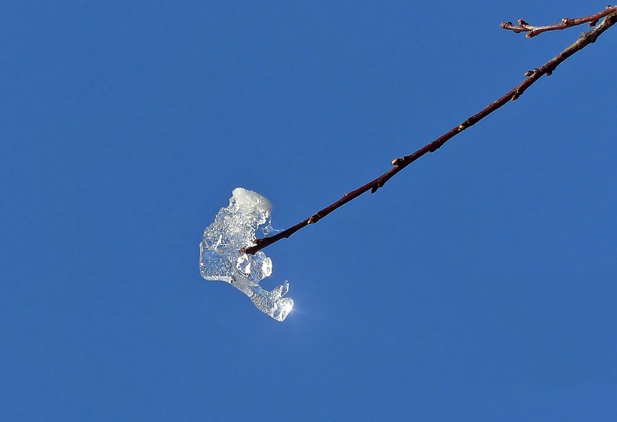 . Diese Kunstwerk w�rde man jetzt wohl vergeblich suchen. Maulusm�hle, 04.02.2015 (Jeanny)