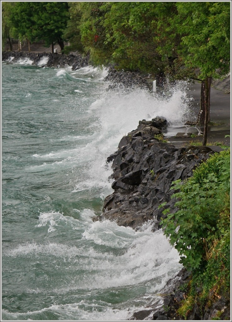 An diesem Tag gab es beim Spaziergang am See nasse Füsse...
(25.07.2015)