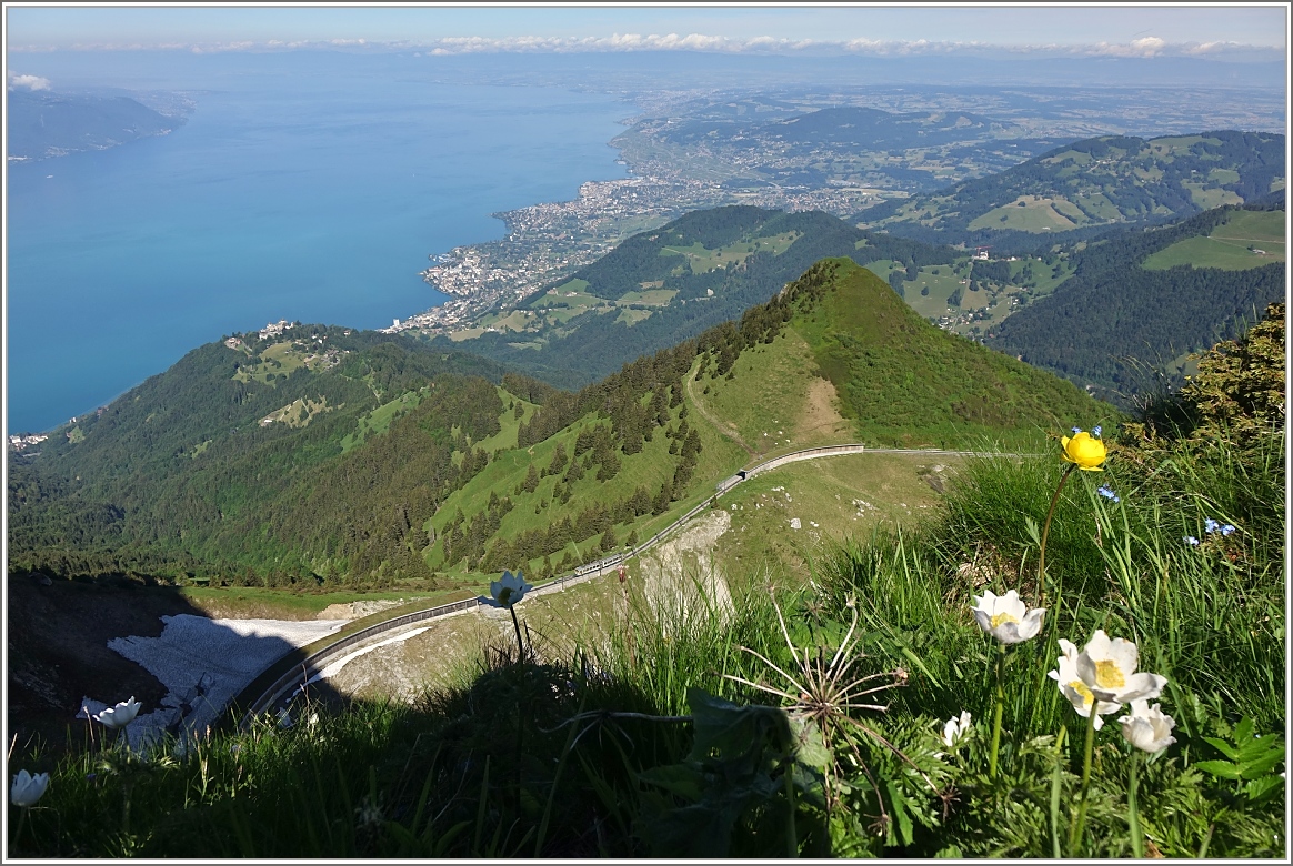 Ausblick vom Rocher de Naye über den Genfersee.
(28.06.2016)
