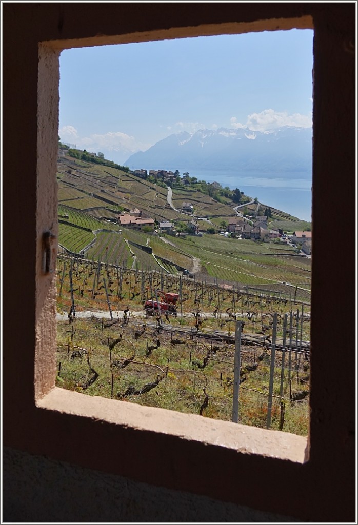 Blick aus einem Fenster auf's Lavaux und seine Umgebung.
(23.04.2014)