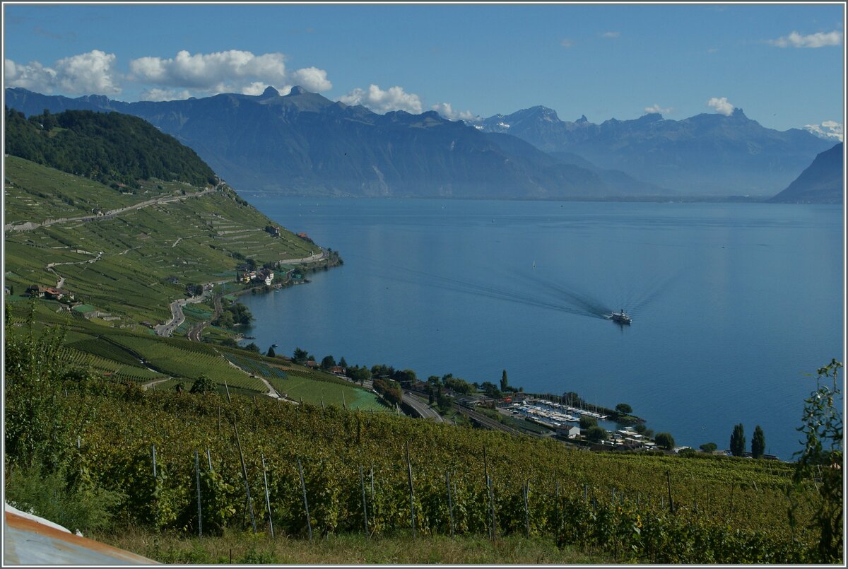Blick ins Lavaux bis zu den Waadtländer Alpen.

20.09.2013