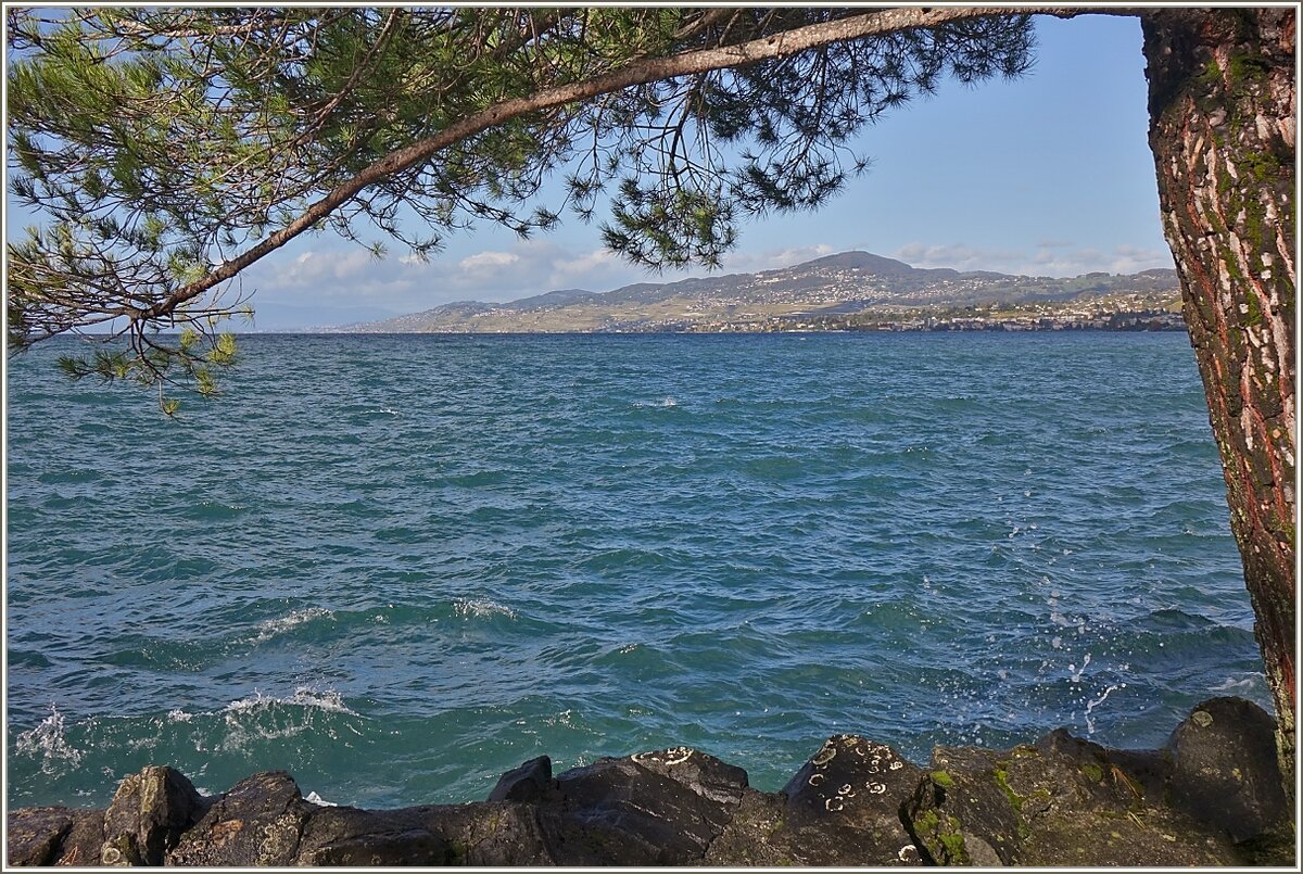 Blick über den Genfersee auf das Lavaux und den Mont-Pèlerin.
(21.10.2021