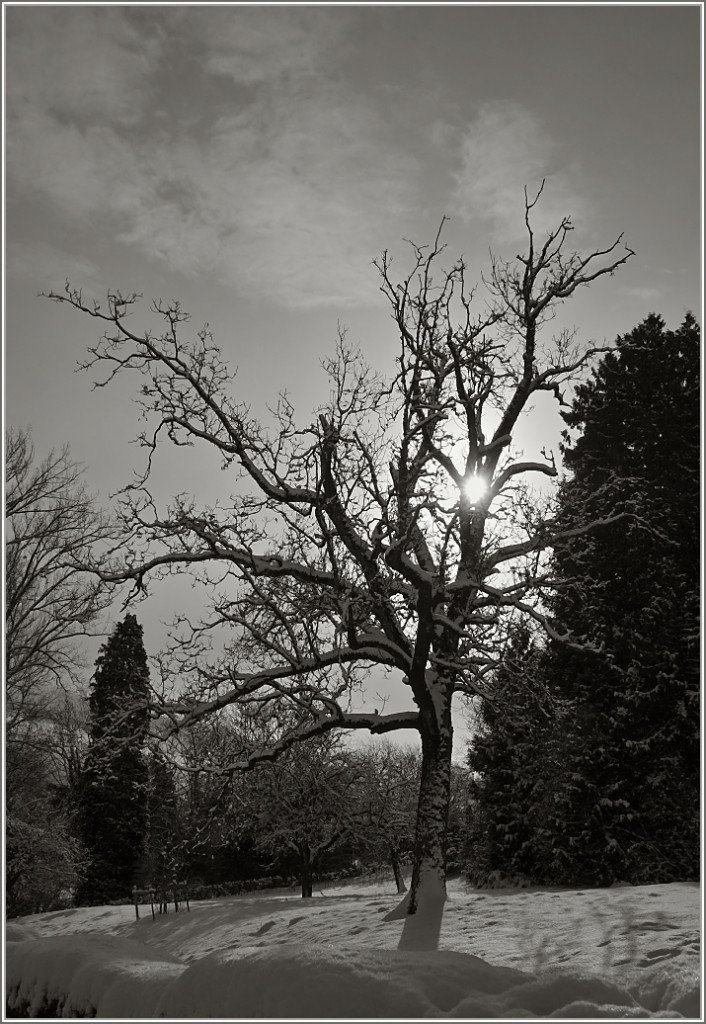 Der Schnee verzaubert die Landschaft auf eine besondere Weise.
(30.12.2014)