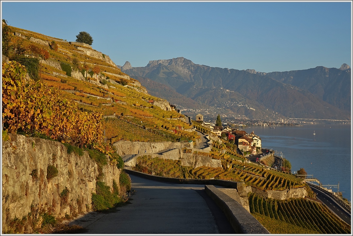 Die Weinberge des Lavaux leuchten im Licht der Abendsonne, und unterstreichen einmal mehr die Schönheit der Region.
(16.10.2017)