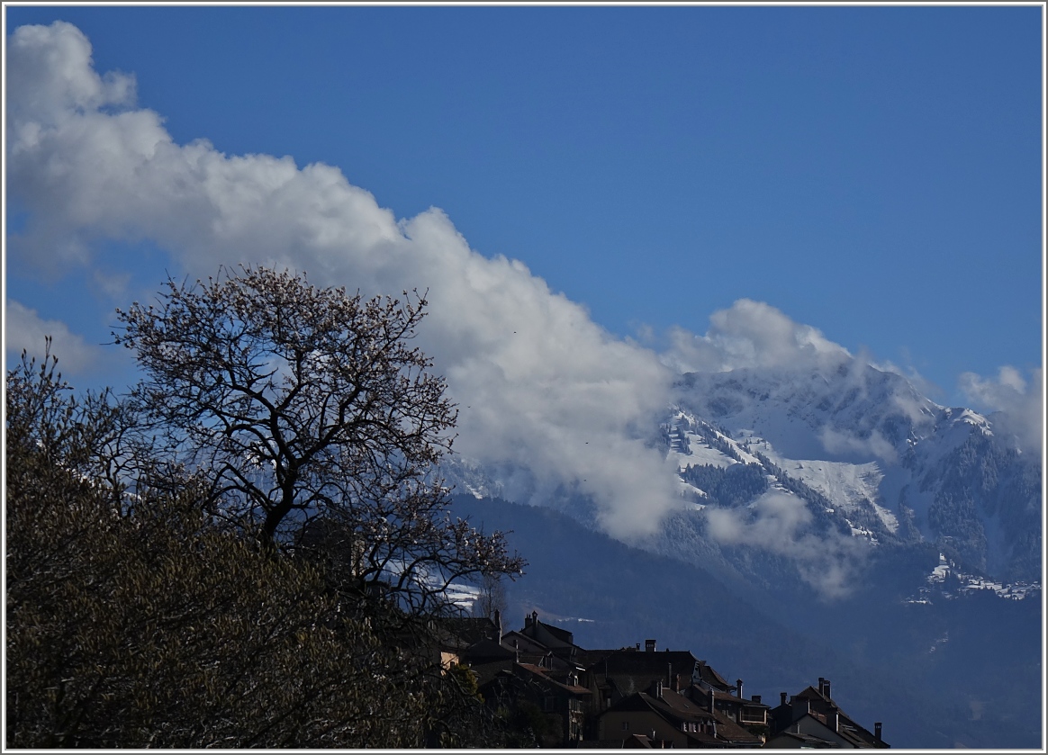 Ein Hauch von Frühling am Genfersee.
(22.02.2014)