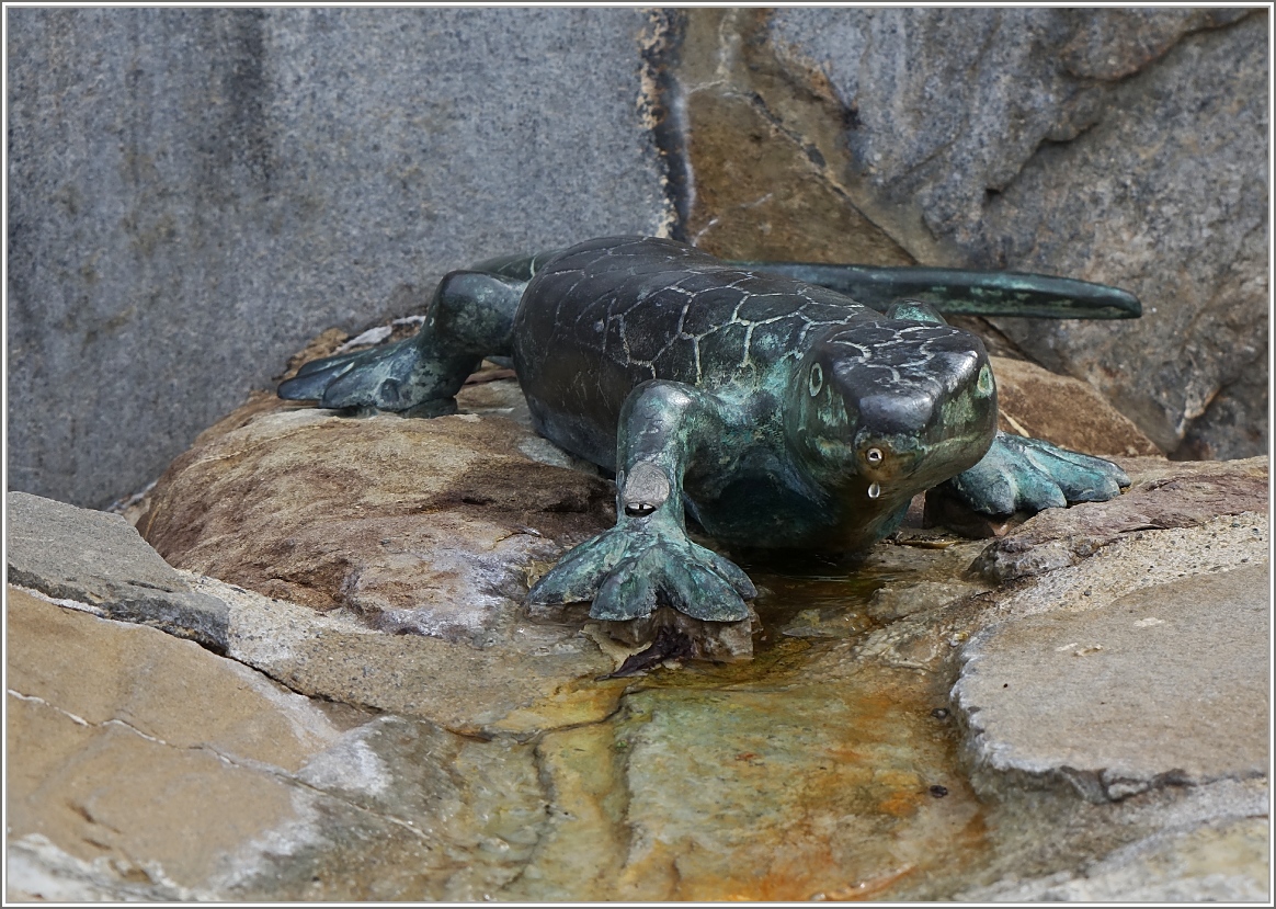 Eine etwas andere Eidechse im Lavaux
(08.05.2014)