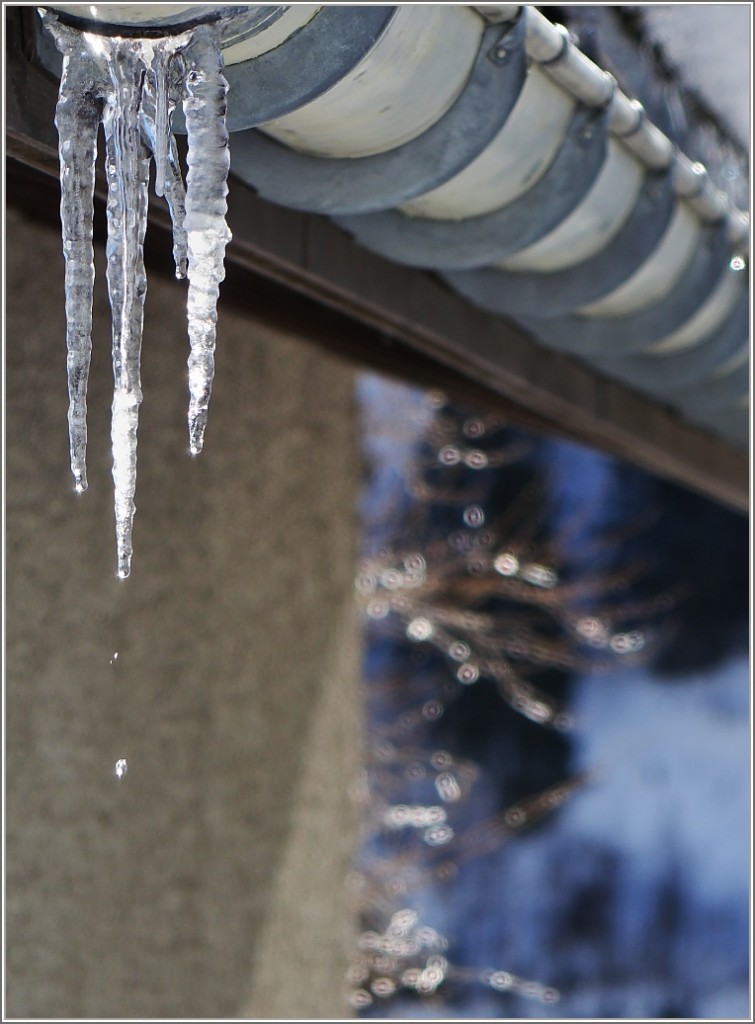 Es taut...
(12.02.2015)