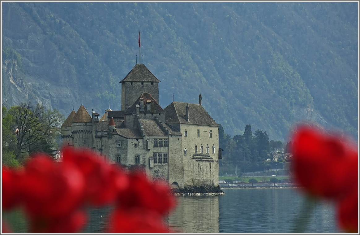 Frühling am Château de Chillon
(07.04.2014)
