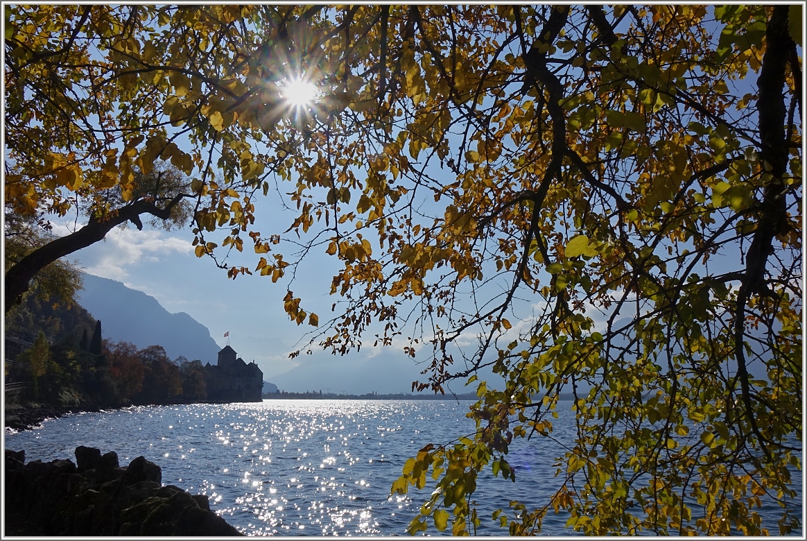 Herbst am Château de Chillon
(03.11.2016)
