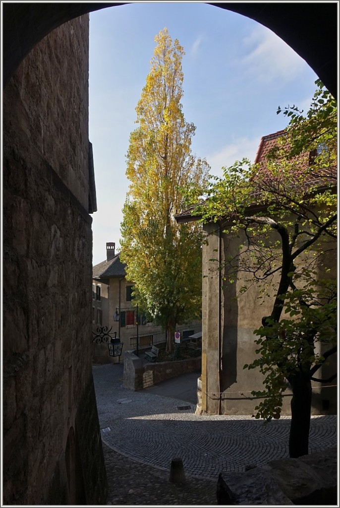 Herbstliches St.Saphorin.
(22.11.2014)