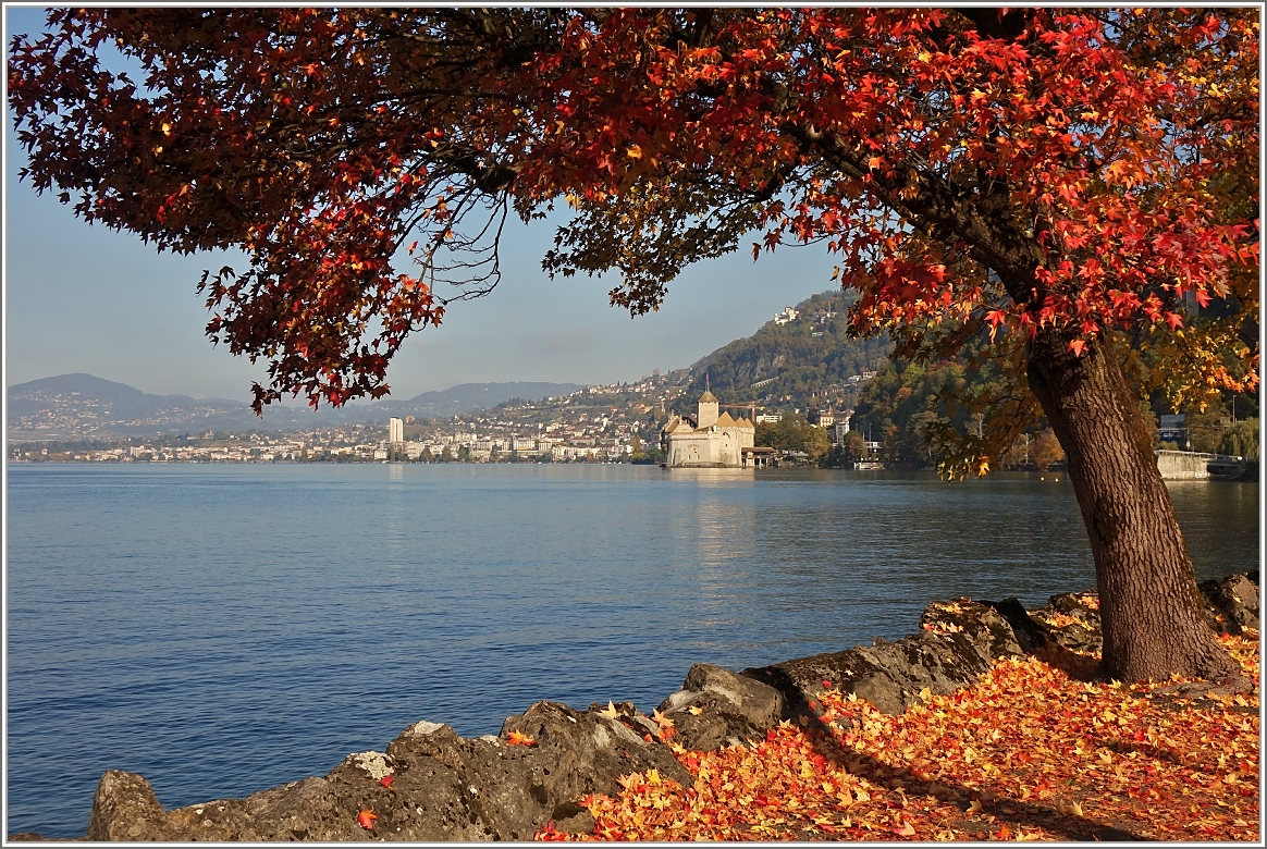 Herbststimmung beim Château de Chillon.
(21.10.2015)