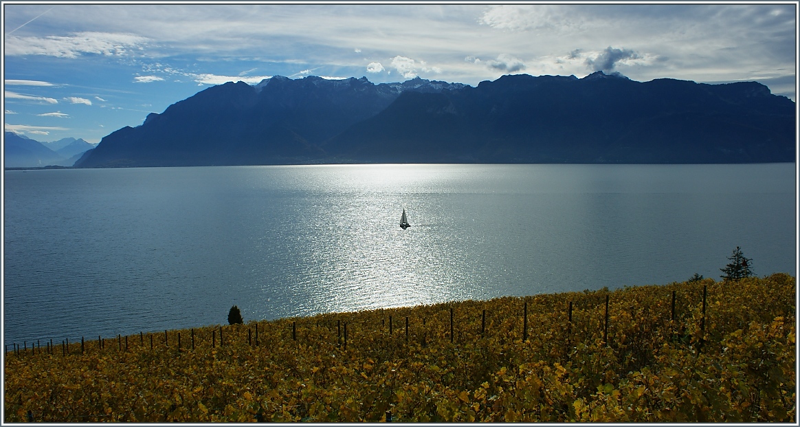 Kleines Schiff allein auf dem See...
(08.11.2013)