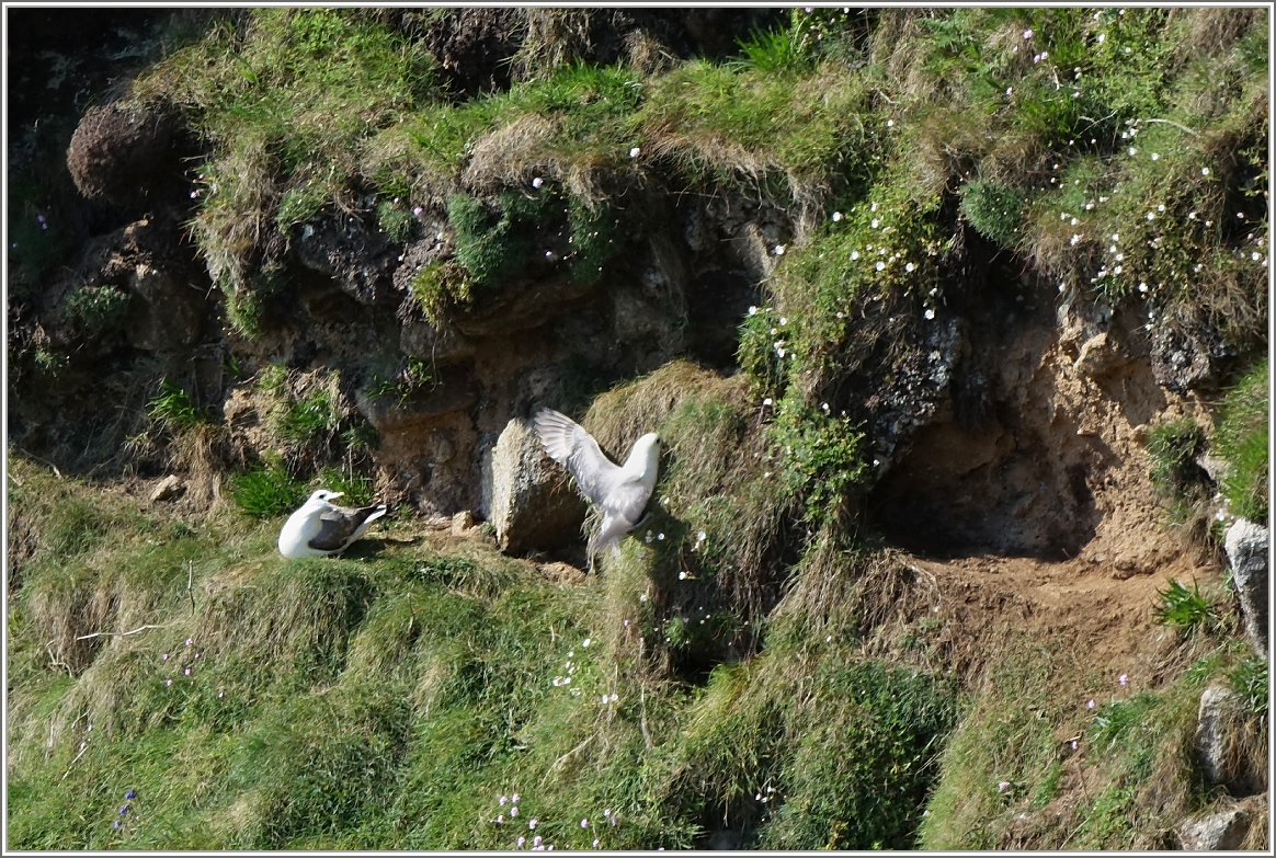 Landen ist nicht immer einfach.
(16.05.2014)