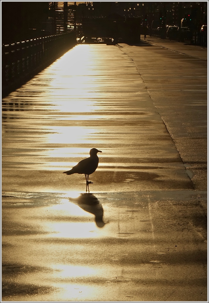 Licht und Schatten
(25.04.2016)