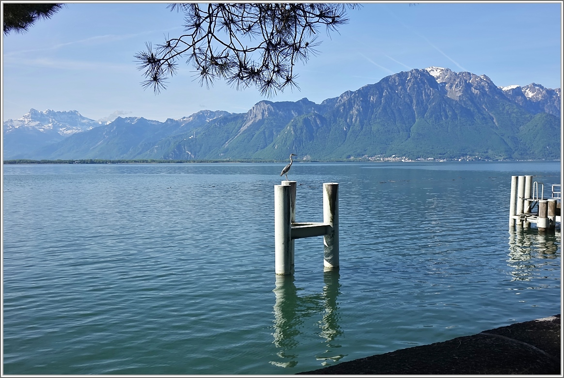 Sonntagsstimmung am 10.05.2014)