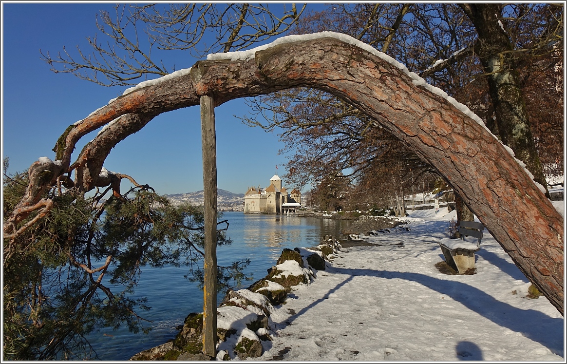 Winter beim Château de Chillon
(16.01.2017)
