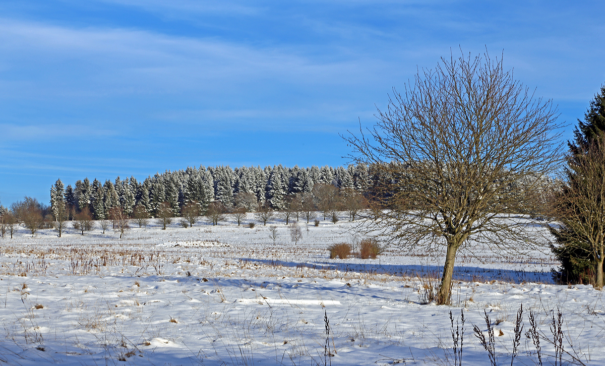 
Winterlandschaft bei Nisterberg (Westerwald) am 05.01.2015.
In den tieferen Lagen ist der Schnee verschwunden, aber hier auf ca. 527 m.ü.M. sieht es doch anders aus.