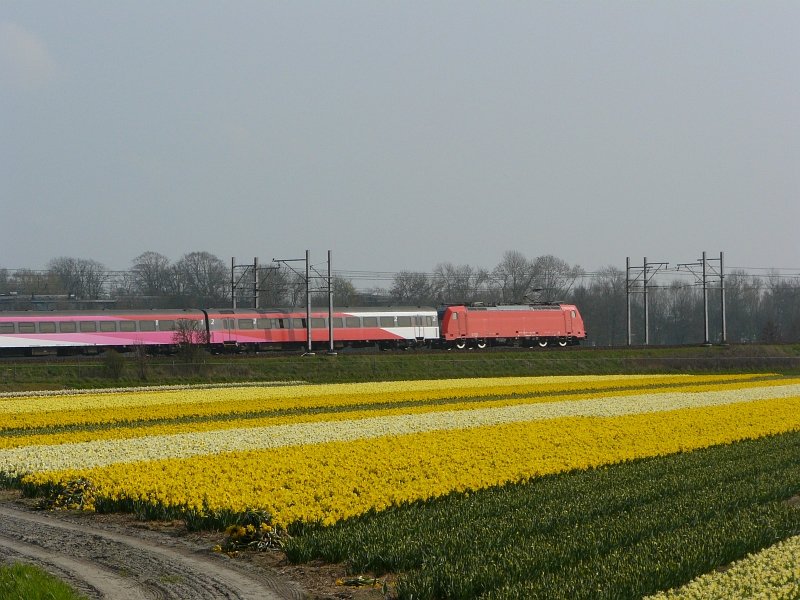 Auch in Fr�hling fahrt NS Hispeed von Amsterdam nach Brussel 05-04-2009.