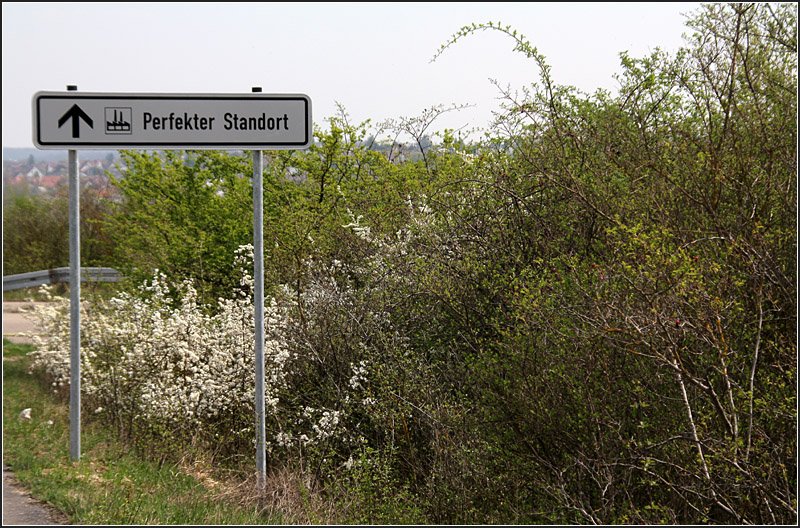 Danach sind wir beim Fotografieren immer auf der Suche und haben ihn nie gefunden. Aber anscheinend gibt es ihn doch... 12.04.2009 (Matthias)