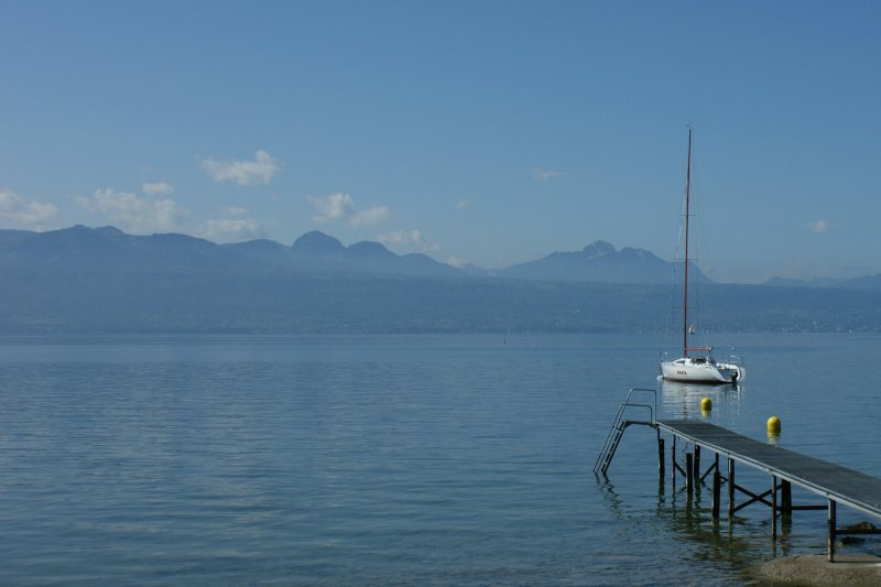 Ein Traum-Bild.
(Mai 2009)