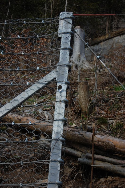 Hier hat wohl jemand seinen L�ffel abgegeben! Ohne Schmarrn, der steckte da wirklich!