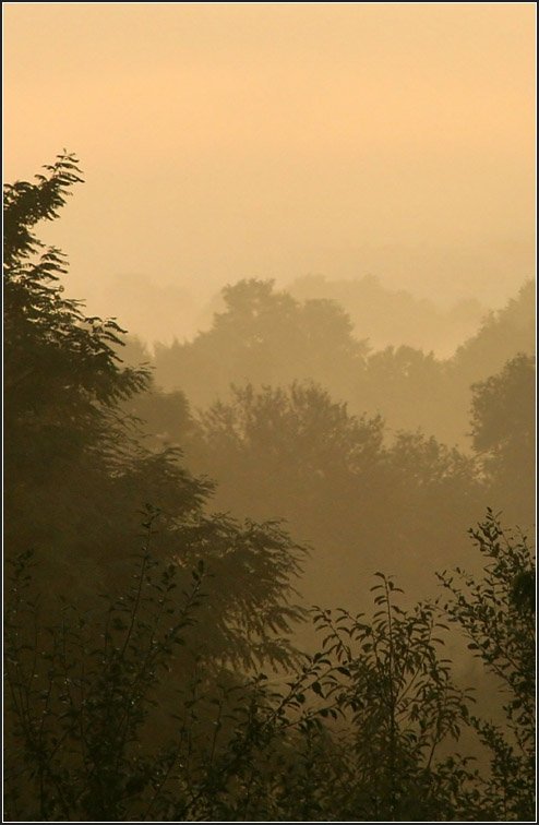 Morgenstimmung bei uns zu Hause an einem Septembermorgen, 24.09.2008 (Matthias)